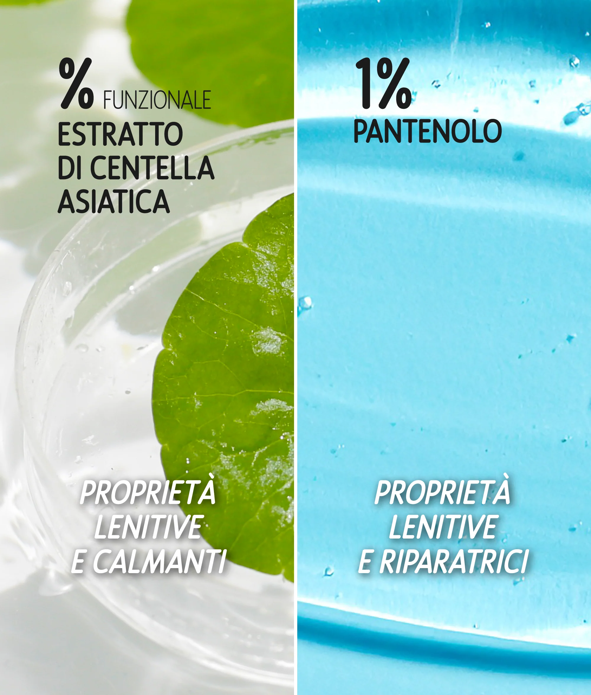 Immagine prodotto 6